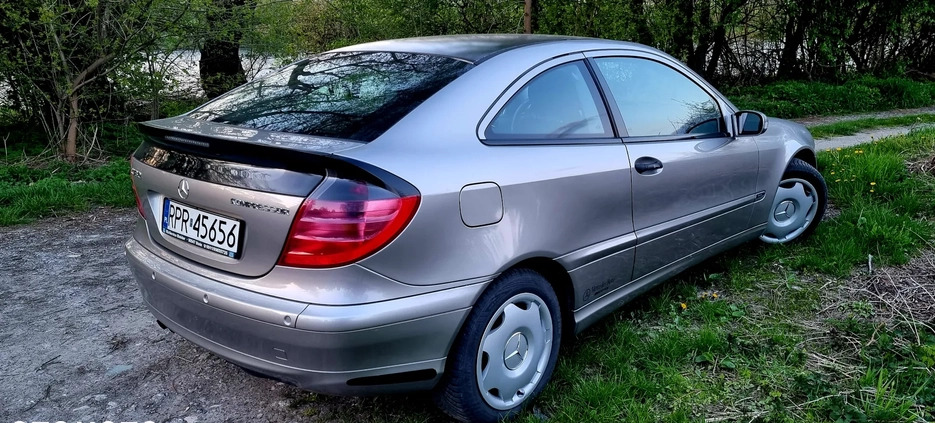 Mercedes-Benz Klasa C cena 14900 przebieg: 175500, rok produkcji 2003 z Radomsko małe 79
